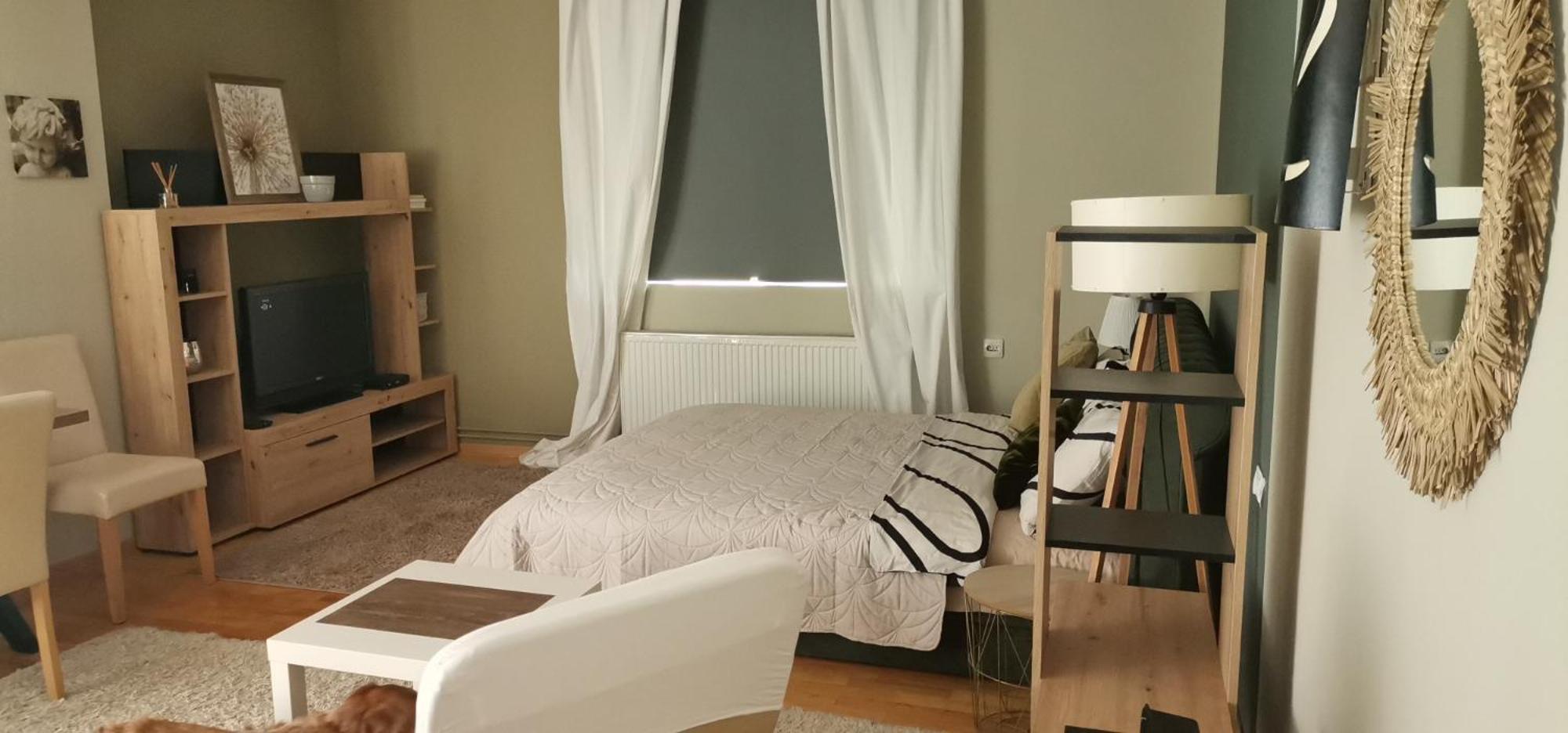 Crystal Kragujevac Apartment Bagian luar foto