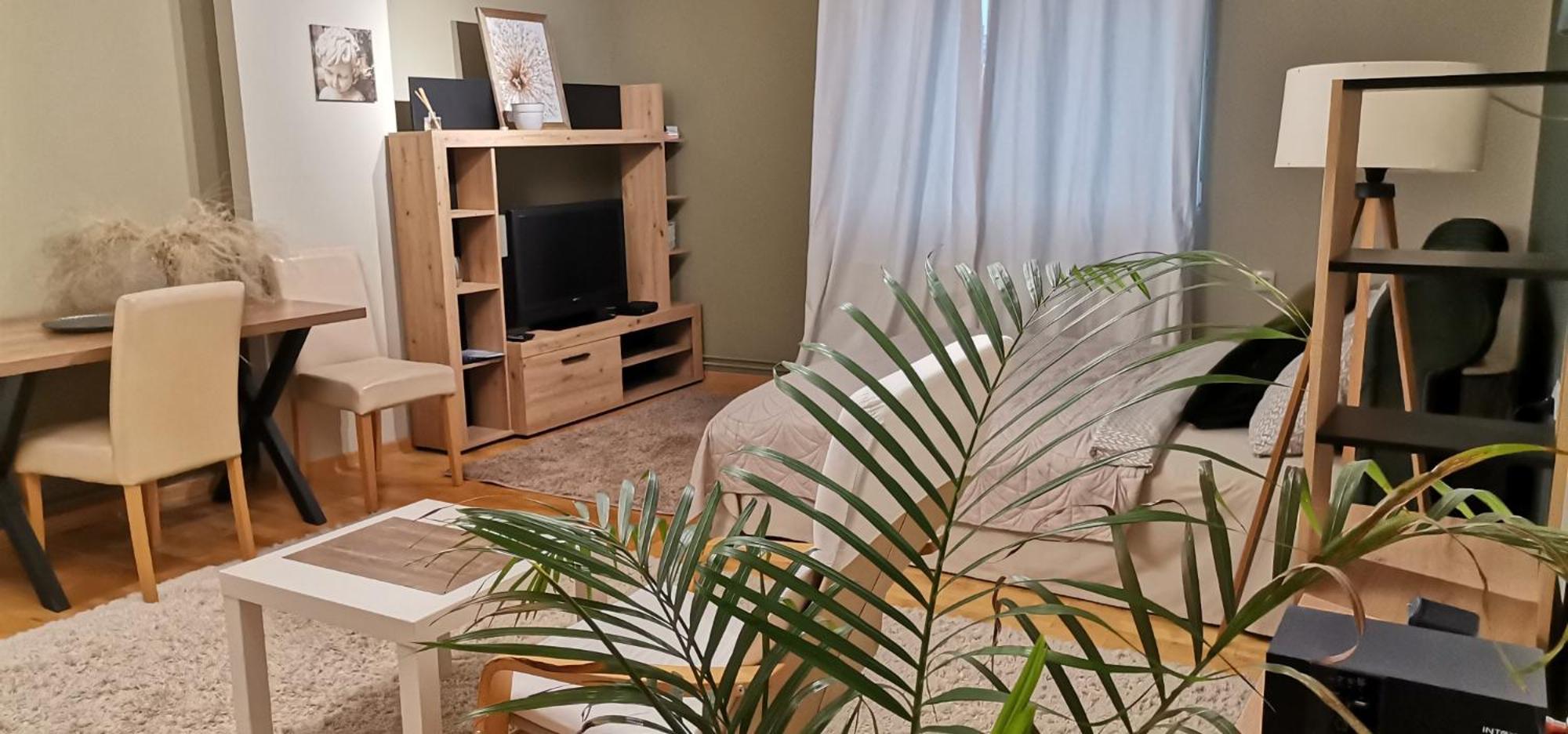 Crystal Kragujevac Apartment Bagian luar foto